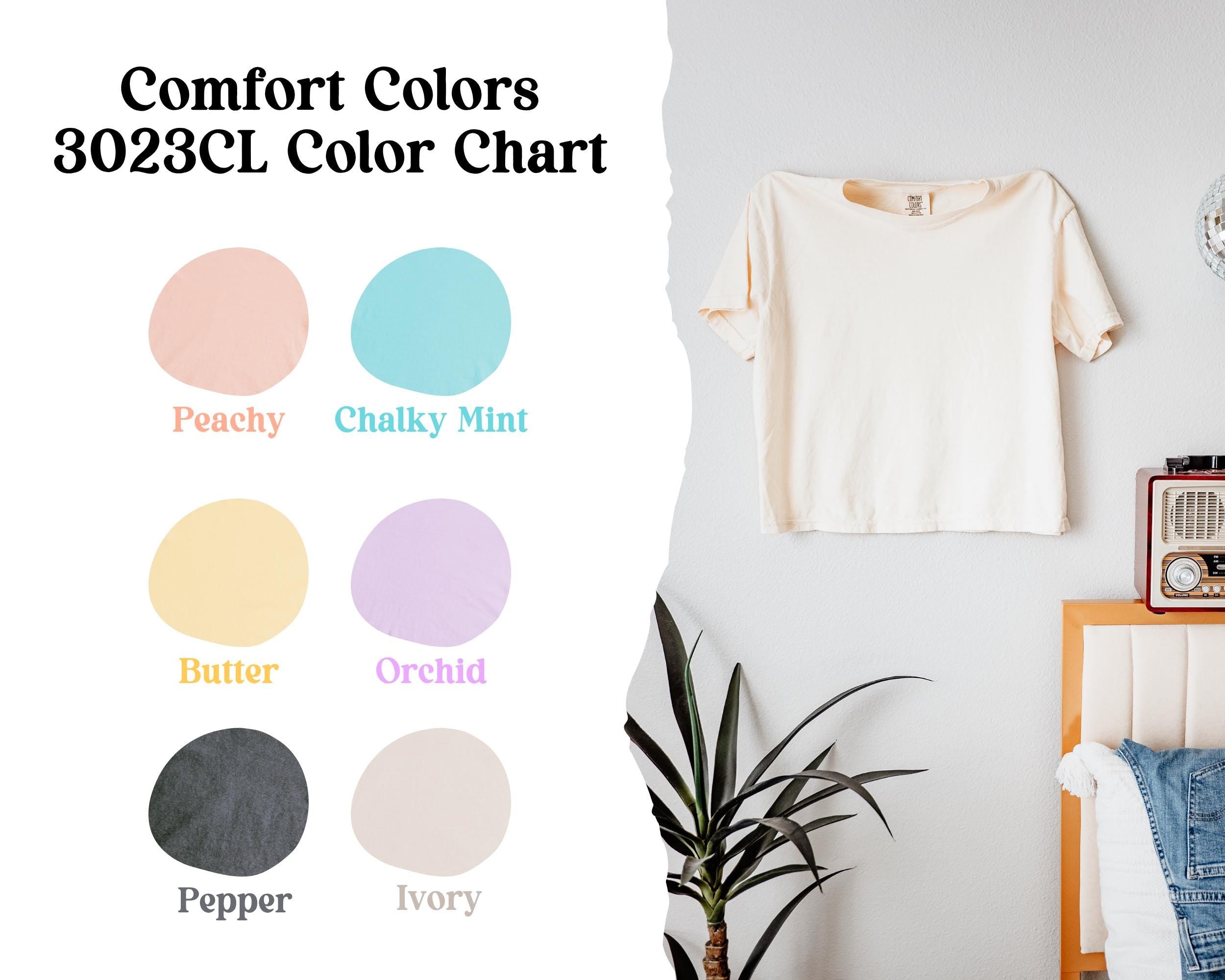 Custom Sweet 16 Shirt 16th Birthday Gift For Teen Girl Comfort Colors Boxy Tee Crop Top Book Lover Tee Personalized Chapter 16 Party Shirt