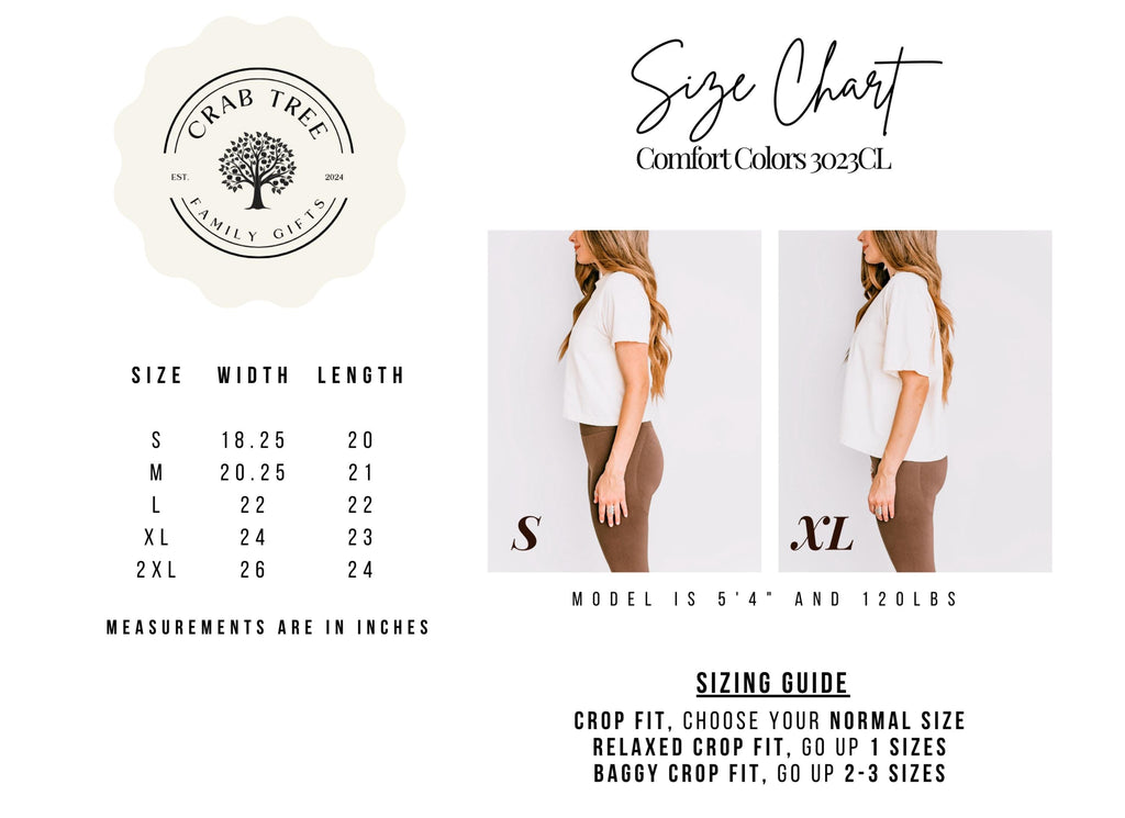 Custom Sweet 16 Shirt 16th Birthday Gift For Teen Girl Comfort Colors Boxy Tee Crop Top Book Lover Tee Personalized Chapter 16 Party Shirt